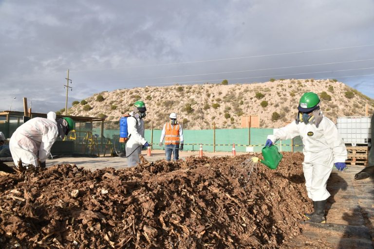 Quellaveco ha generado más de 800 toneladas de abono para la agricultura de Moquegua