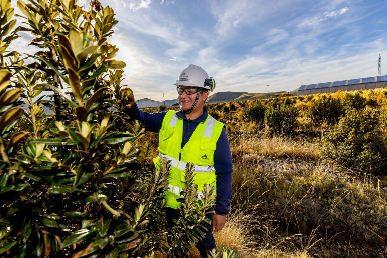 Antapaccay crea bosque de 180 hectáreas que atrae aves migratorias y otras especies