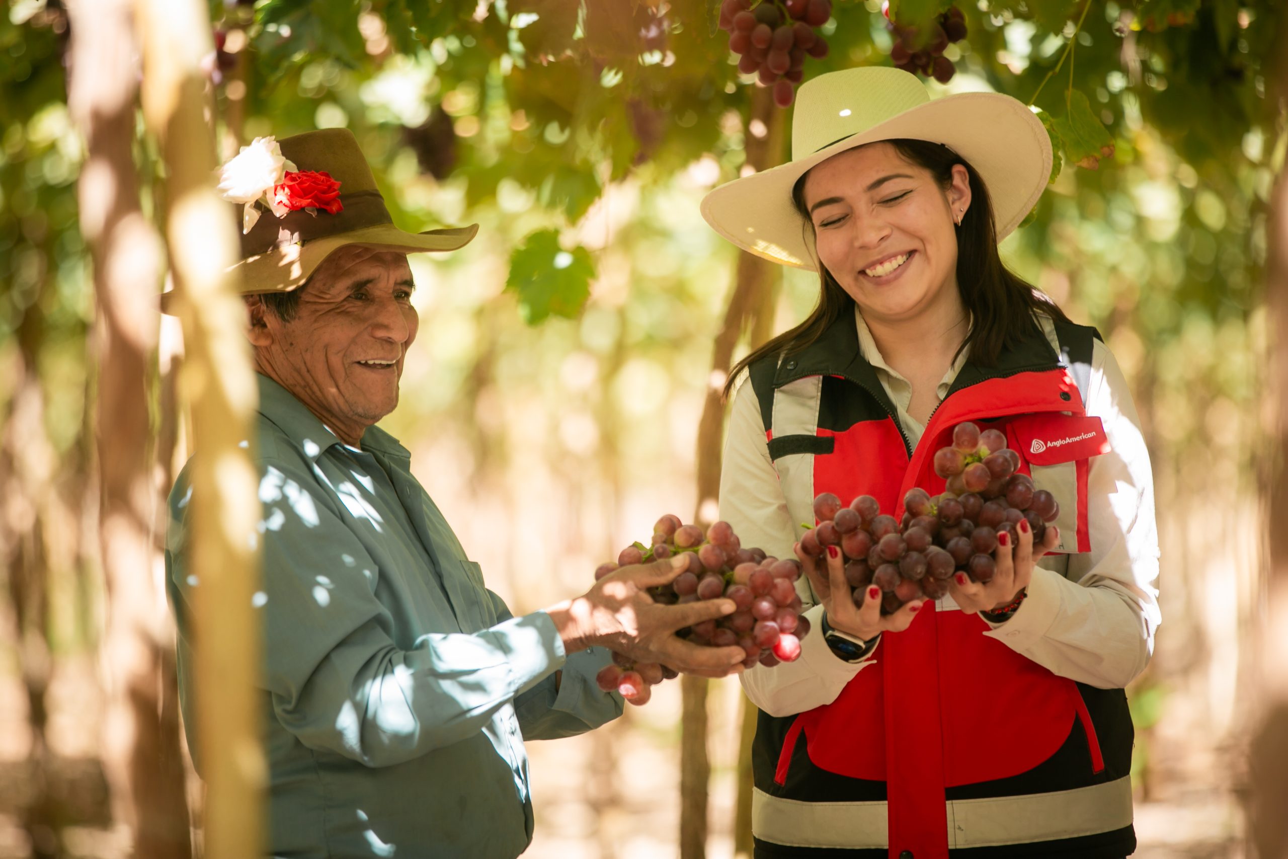 Agro Quellaveco, el programa que potencia la agricultura moqueguana