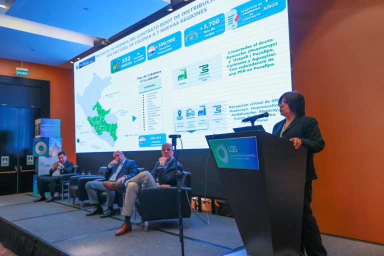 Recursos prospectivos de gas natural en el Perú superan los 43 TCF, reporta el Minem