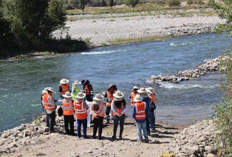 Programa de monitoreo ambiental de Teck Zafranal: resultados cumplen con ECA