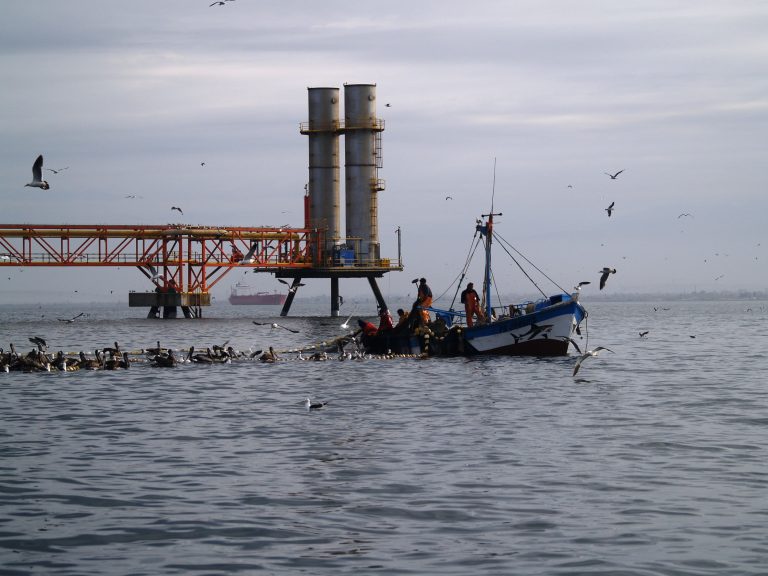 Gas natural de Camisea generó más de S/474 mil millones en ahorros