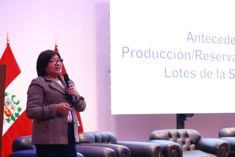 Minem: En primera semana de noviembre iniciará etapa de pruebas de planta satélite de GNL de San Jerónimo