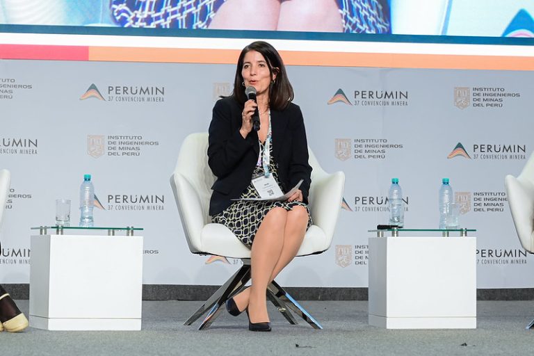 “Nos preocupa mucho que no haya una postura clara sobre el Reinfo”, señala la presidenta de la SNMPE