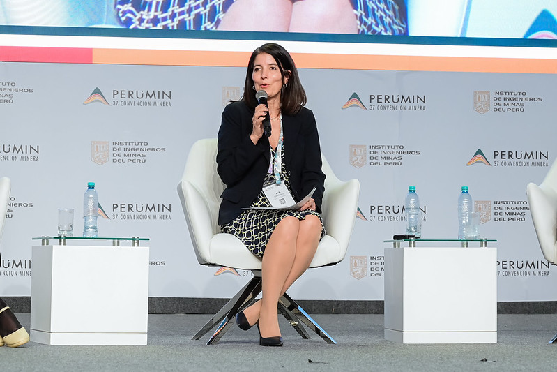 “Nos preocupa mucho que no haya una postura clara sobre el Reinfo”, señala la presidenta de la SNMPE