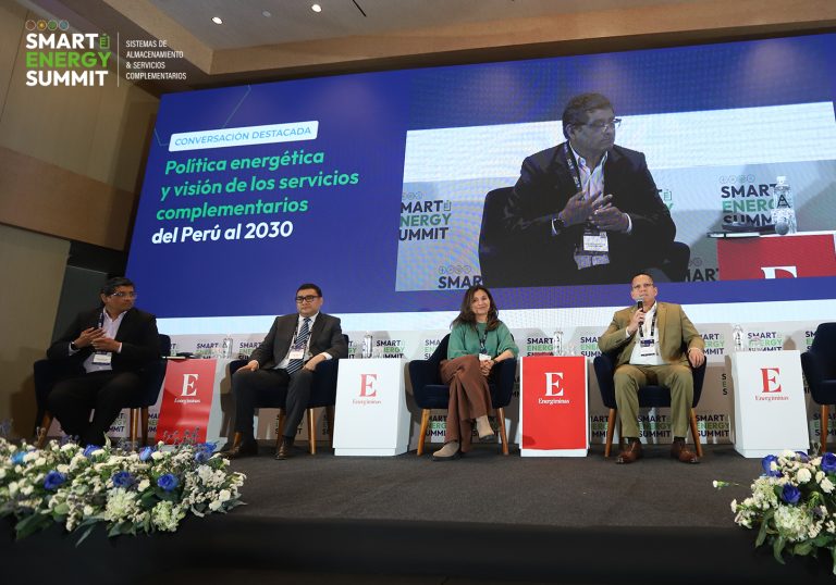 Creación de un mercado de servicios complementarioses vital para la política energética