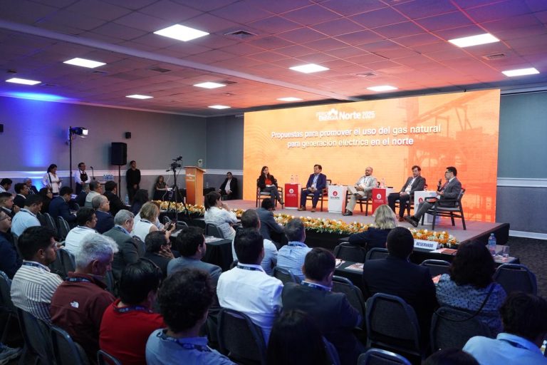 “Sin infraestructura ni un gran clienteque absorba toda la producción, el gas no saldrá del suelo”