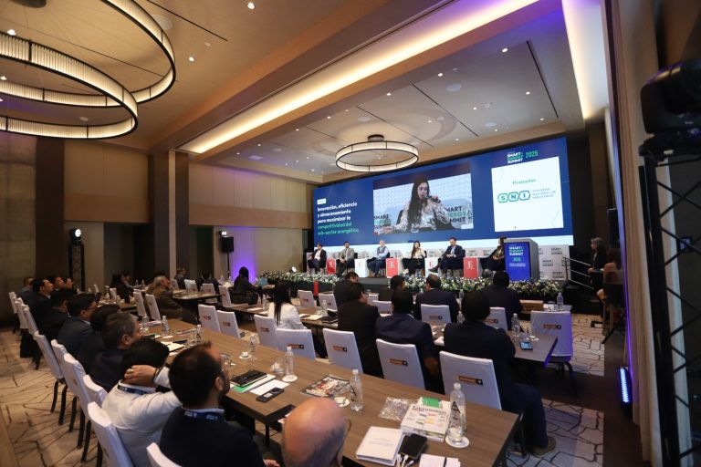 Falta de regulación retrasa la carrera del almacenamiento