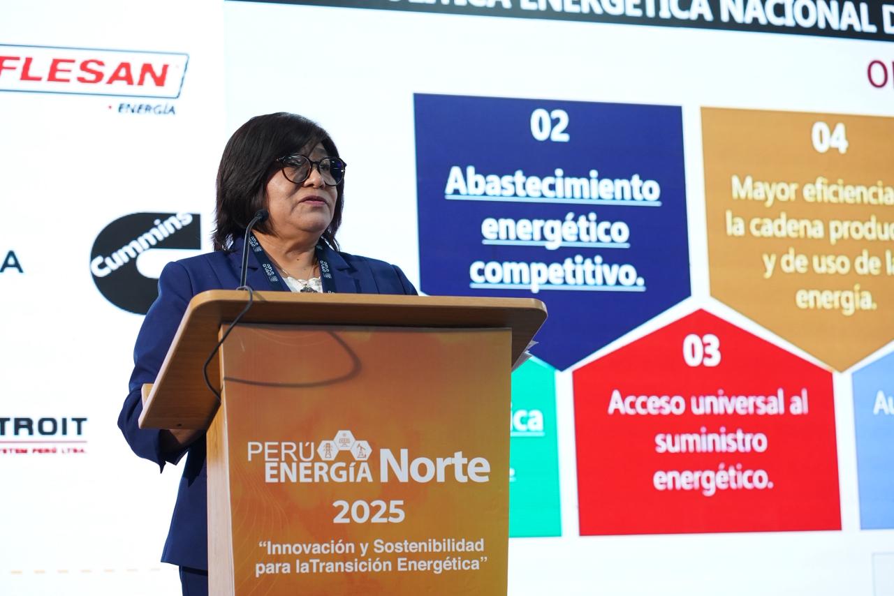 Iris Cárdenas: El 50% del potencial gasífero del país sigue sin desarrollarse por taras legales y ambientales