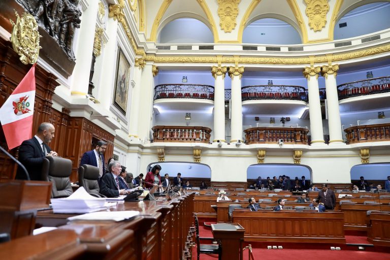 Pleno del Congreso amplía el Reinfo hasta diciembre de 2026
