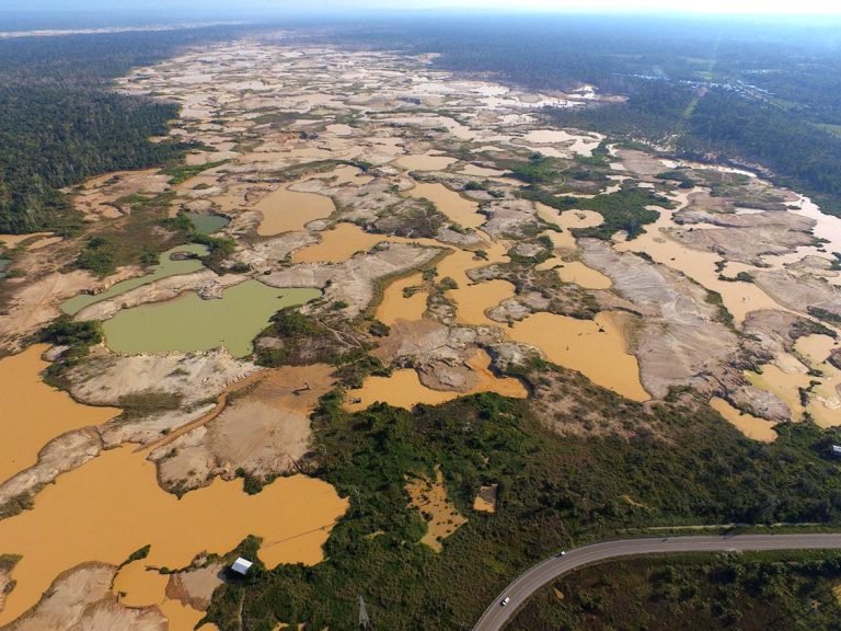 Minería ilegal en 2025: nueve regiones impactadas, 139 mil hectáreas deforestadas y US$ 3300 millones no tributados