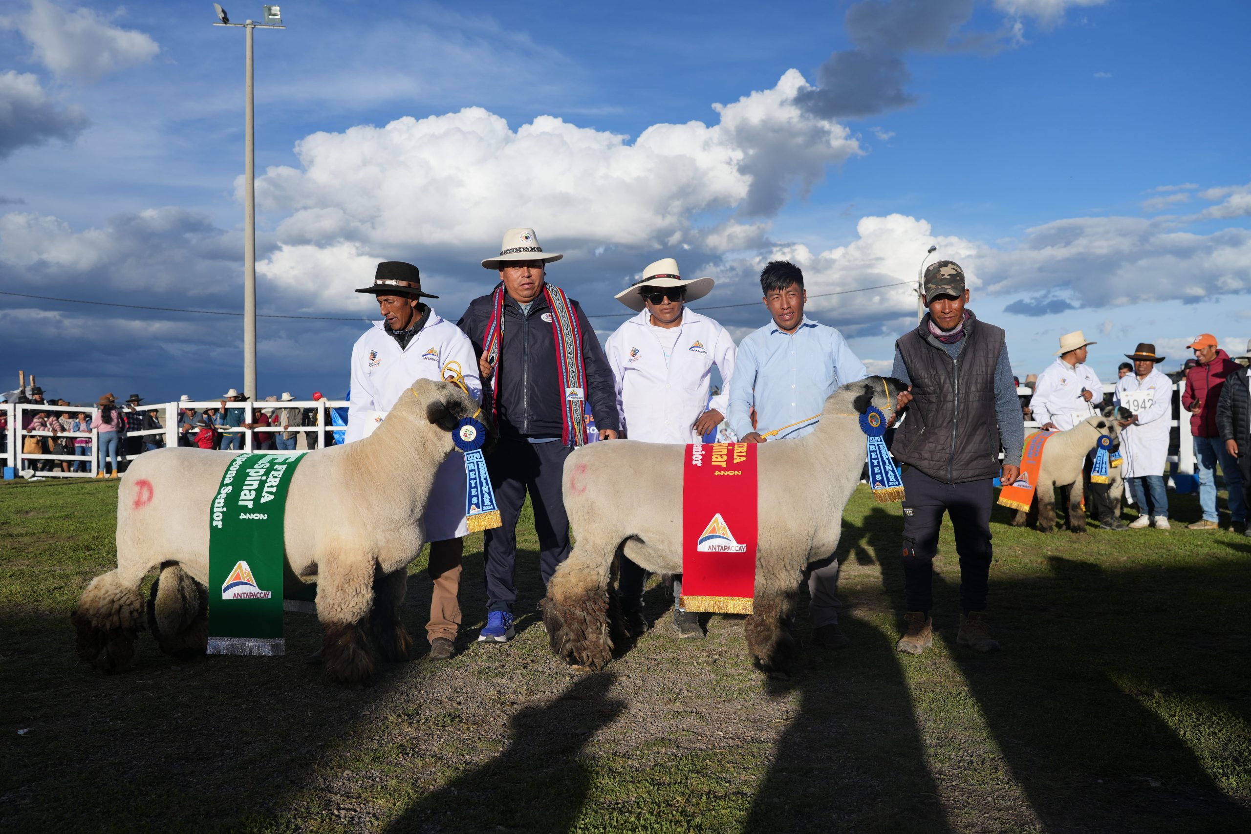 Espinar se proyecta como vitrina pecuaria para el desarrollo nacional con apoyo de Antapaccay