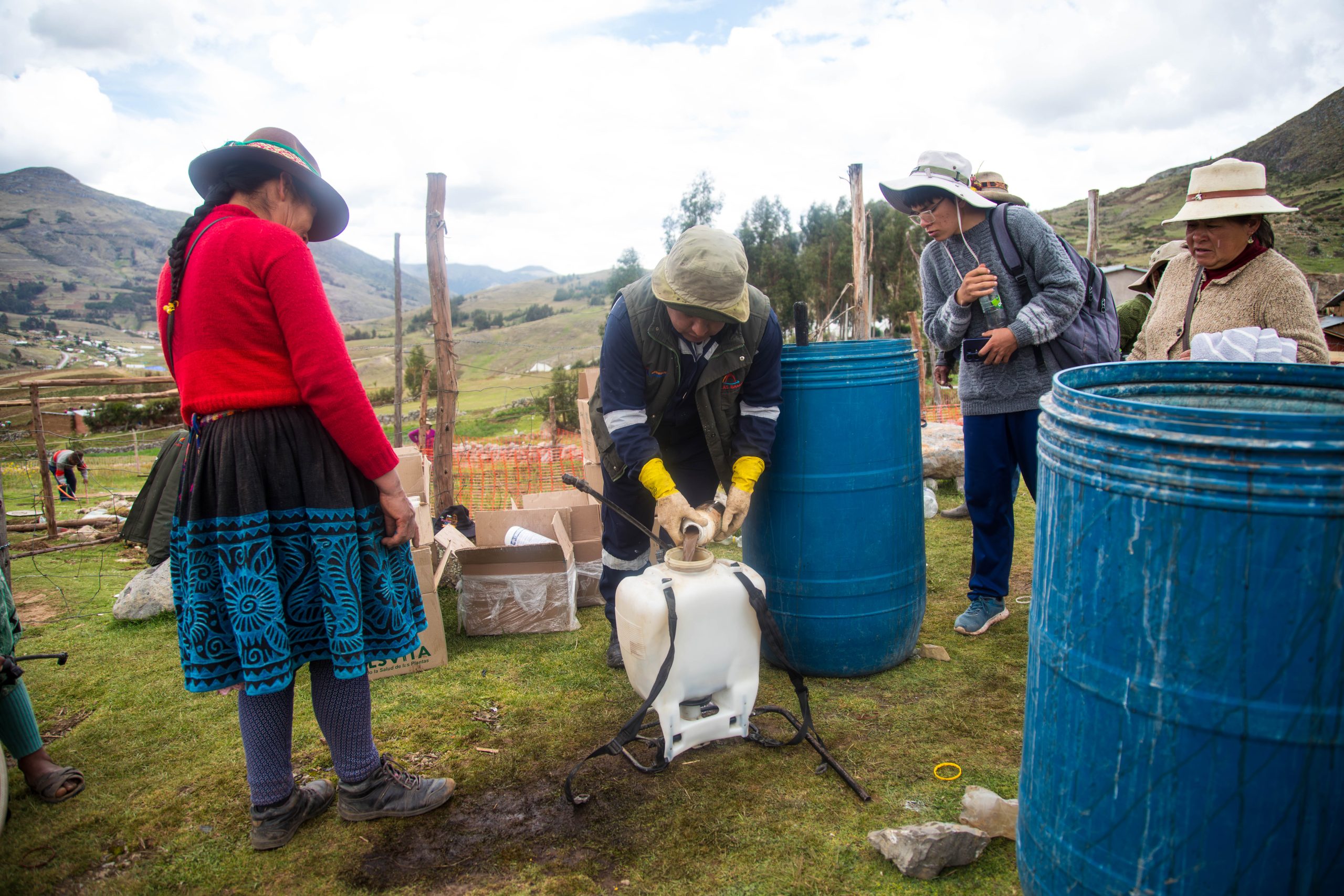 Las Bambas fortalece agricultura familiar en Cotabambas