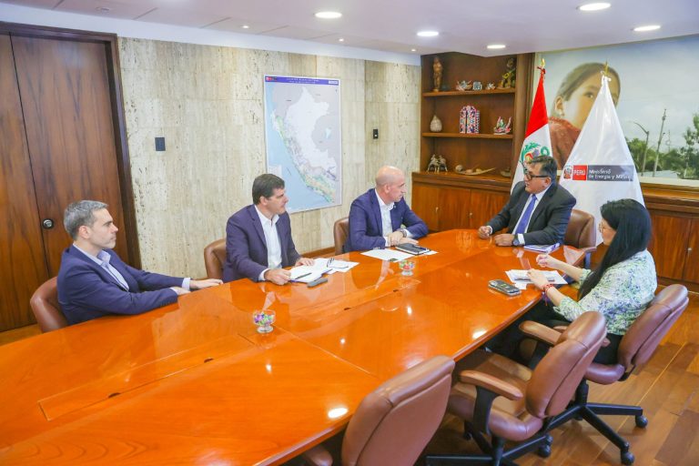 Minem: Debemos trabajar en estrategias para desincentivar uso de combustibles tradicionales