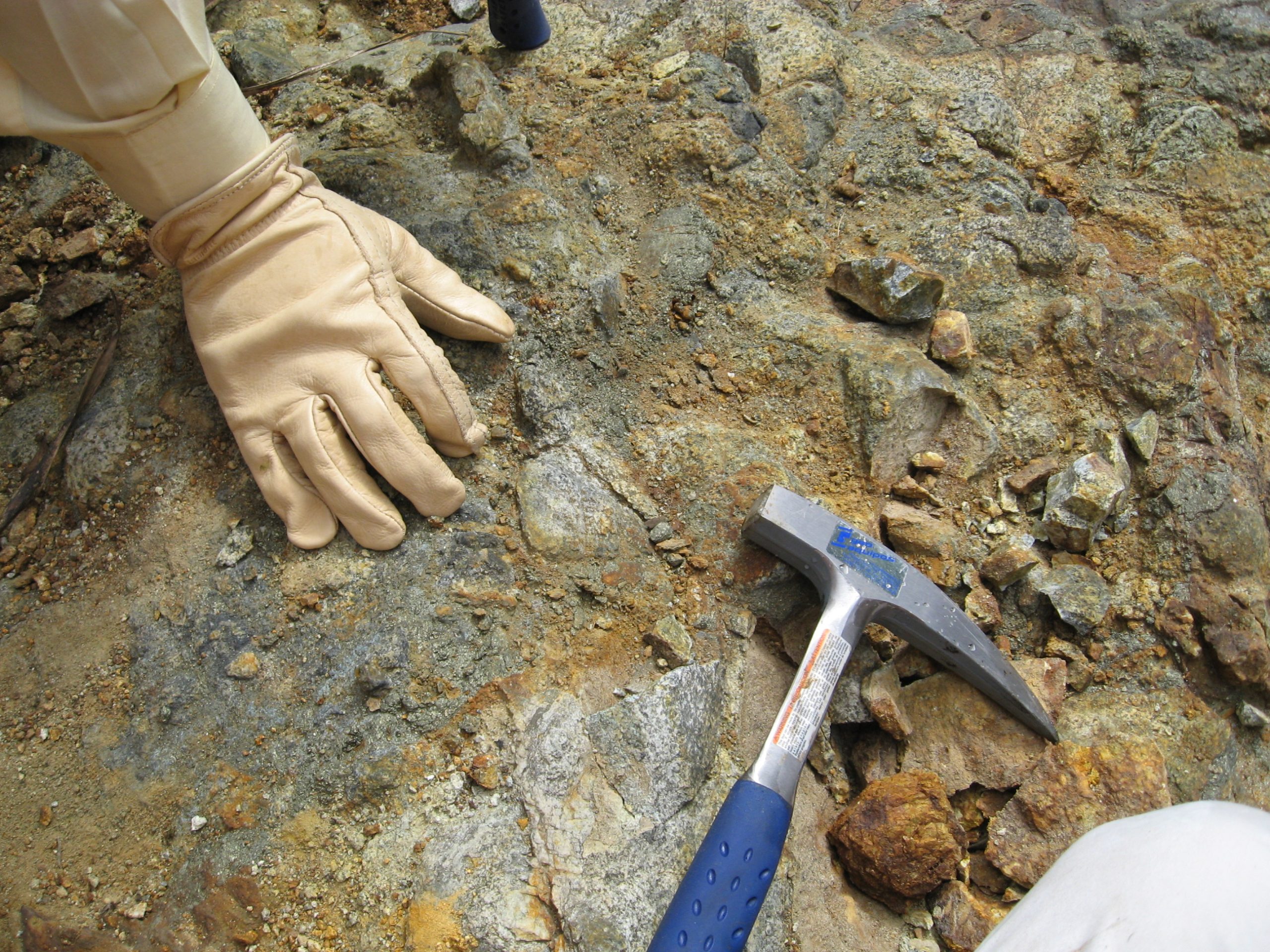 Sabueso, un proyecto para olfatear por oro y cobre