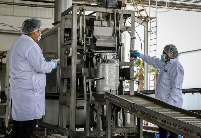 Teck Zafranal: proyecto de inversión social optimiza producción de leche y derivados en Majes El Pedregal