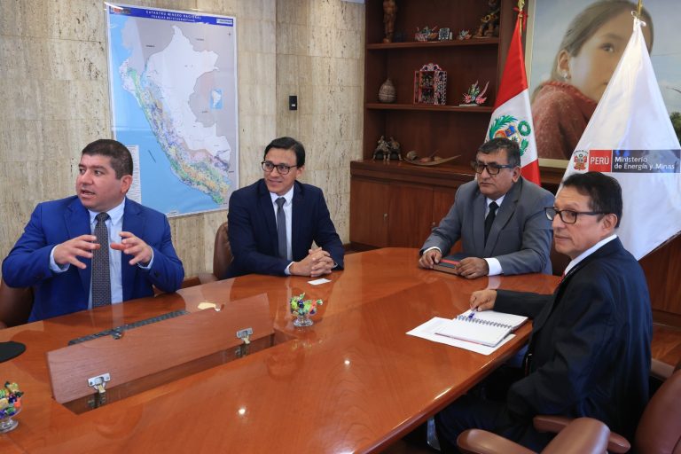 Minem y SEAL buscan concretar proyectos eléctricos estratégicos en el sur del país