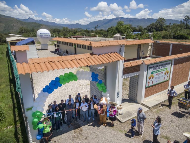 Pan American Silver Shahuindo: Planta de cuyes recibe certificación sanitaria
