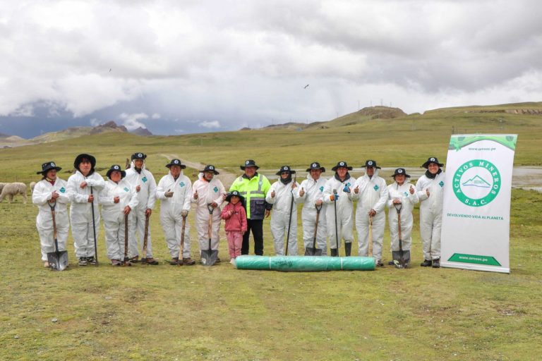 Pasco: AMSAC impulsa forestación de 500 quinuales en Quiulacocha