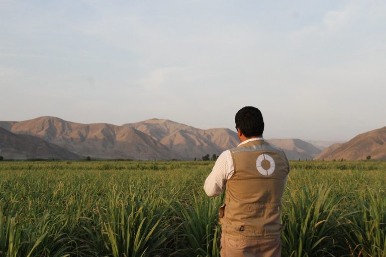 Planes de cierre bajo la lupa: sanciones del OEFA