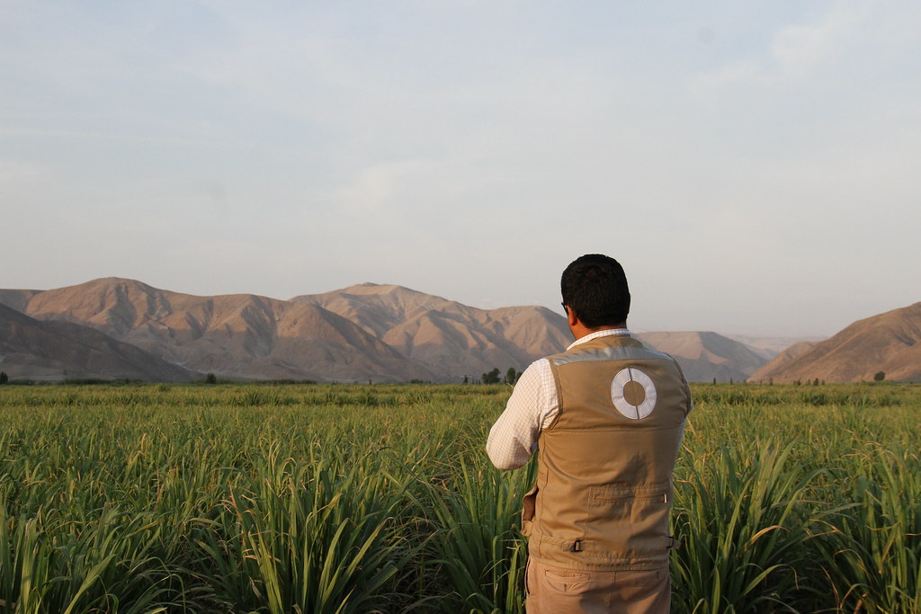 Planes de cierre bajo la lupa: sanciones del OEFA