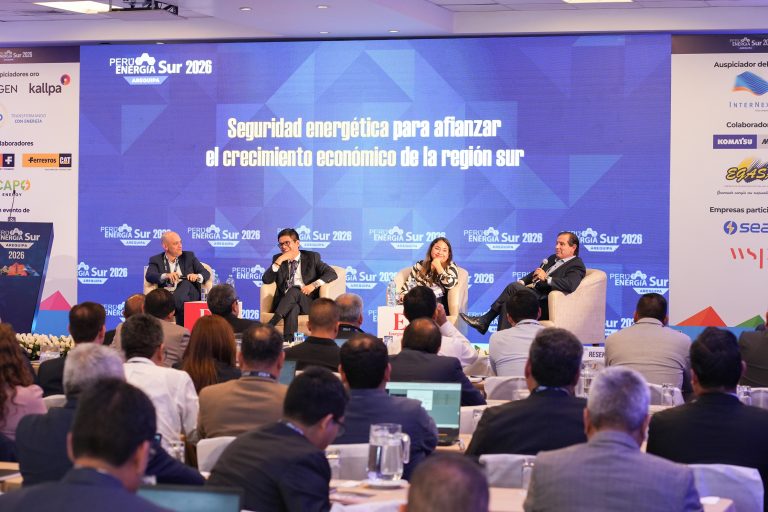 Gas natural en el sur: proyectos avanzan pero sin decisión ni planificación clara